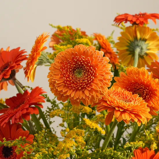 Golden Reverie Gerbera Vase