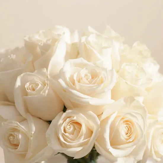 Serene White Roses Vase | 25 Flowers