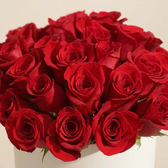 Blooming Red Roses Box | 25 Flowers