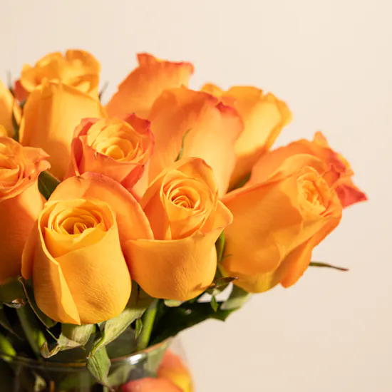 Radiant Orange Rose Vase