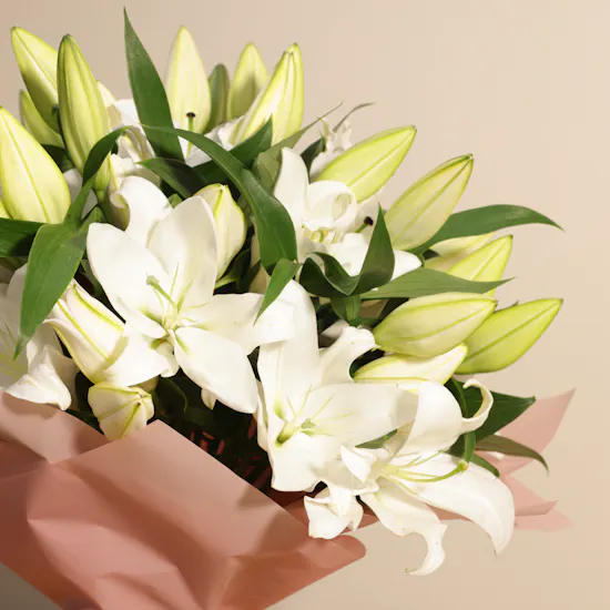 Purest Dawn White Lilies | 25 Flowers