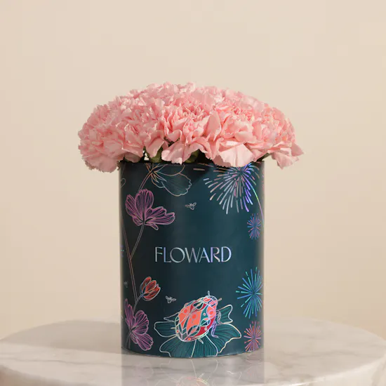 Soft Pink Carnation Box | 25 Flowers