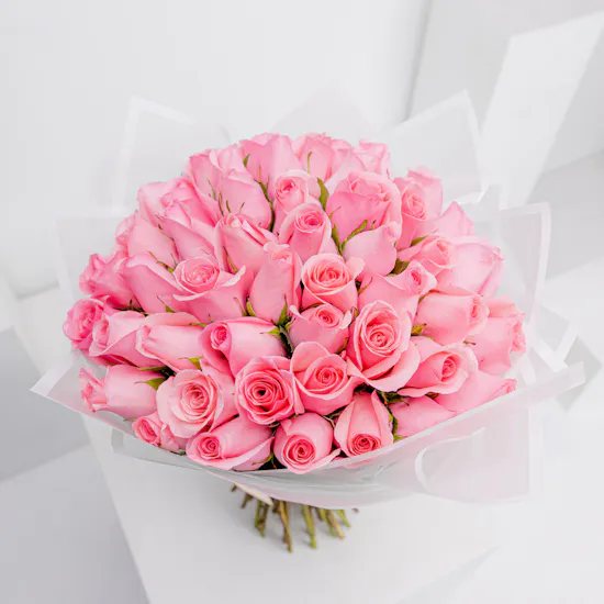 50 Revival Rose