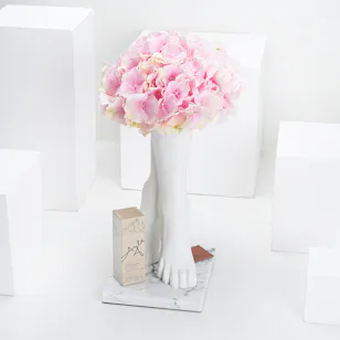 Ayla''s Perfection | Pink Hydrangea Ayla''s Perfection | Pink Hydrangea