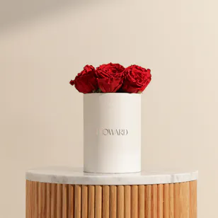 Preserved Red Roses Box