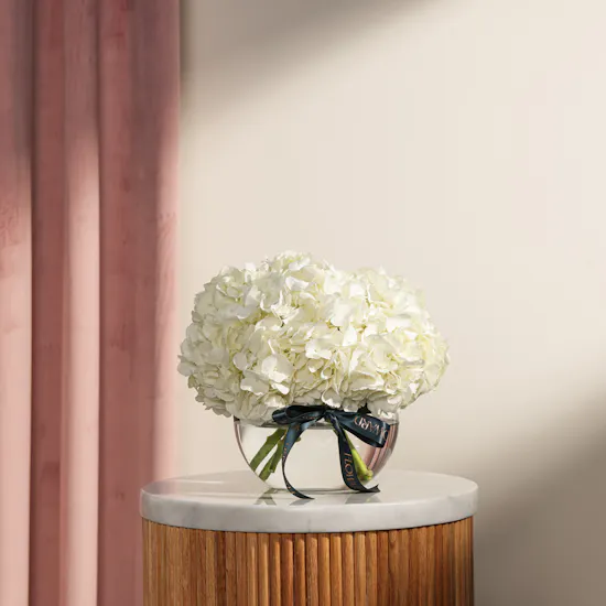 Gentle Love Hydrangea Vase