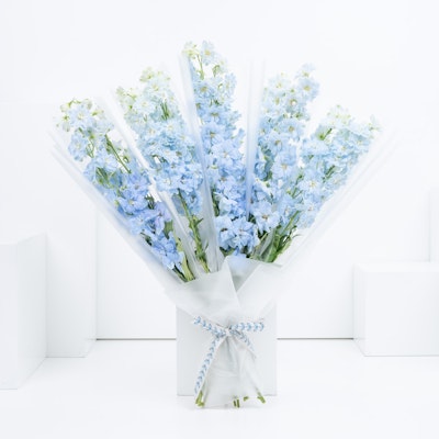 Blue Delphinium Bouquet