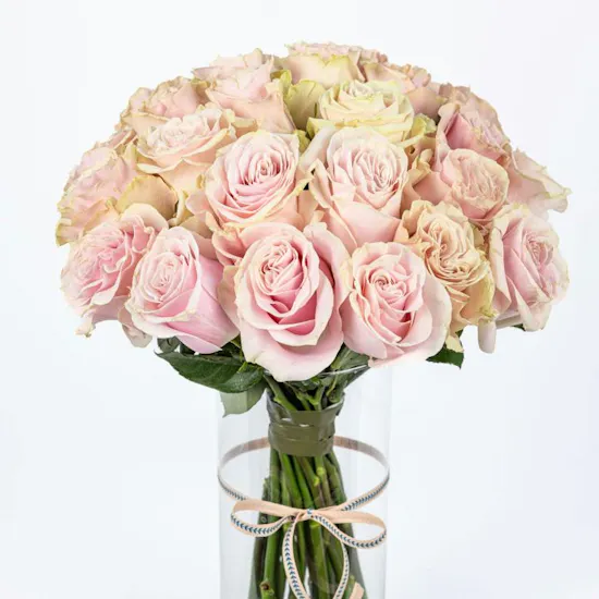 25 Pink Rose Vase