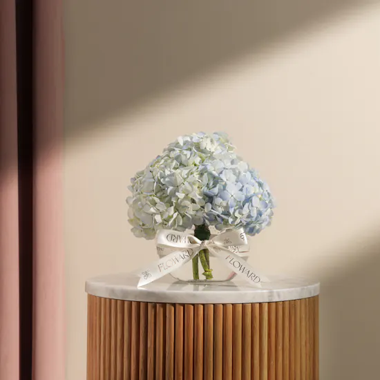 Amazing Hydrangea Vase