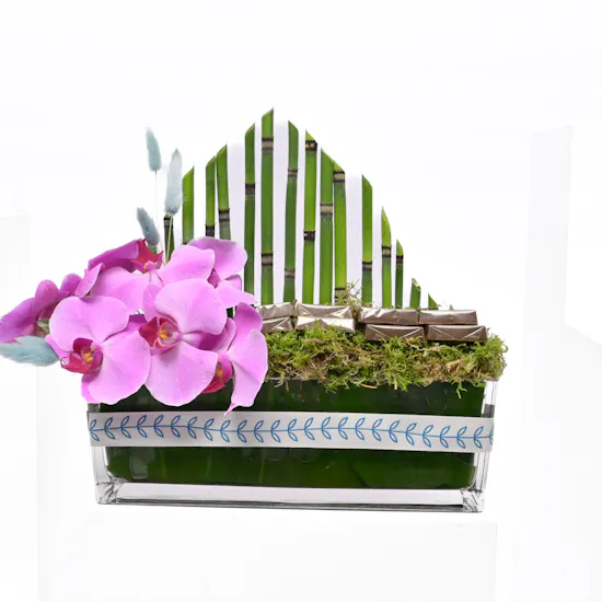 Little Garden Vase | Chocolates