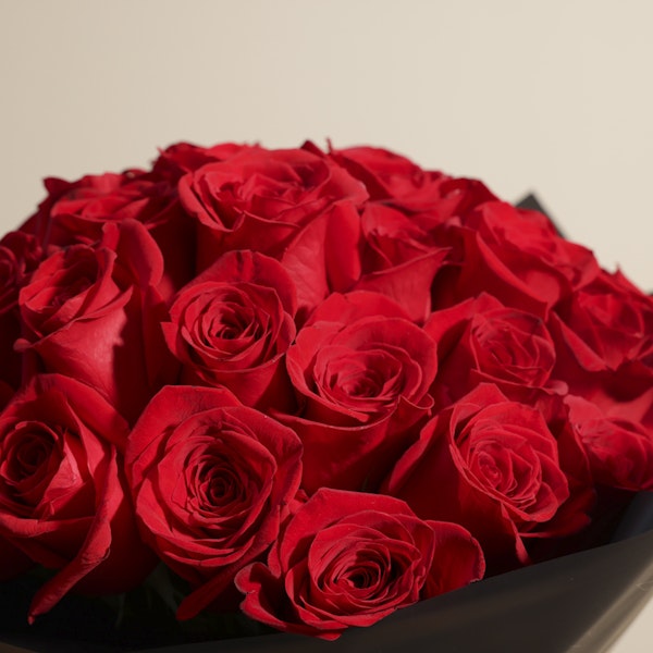 Stunning Red Roses Bouquet | 50 Roses