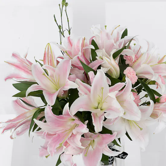 Surprise | Lily & Carnation