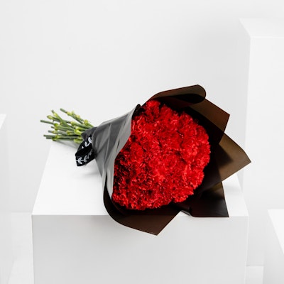 Red Carnations | Black Wrap