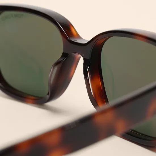 Tom Ford Icon Square Tortoise Unisex Sunglasses