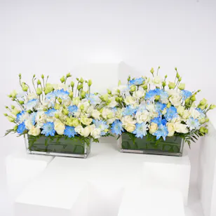 New Baby Reception Duo