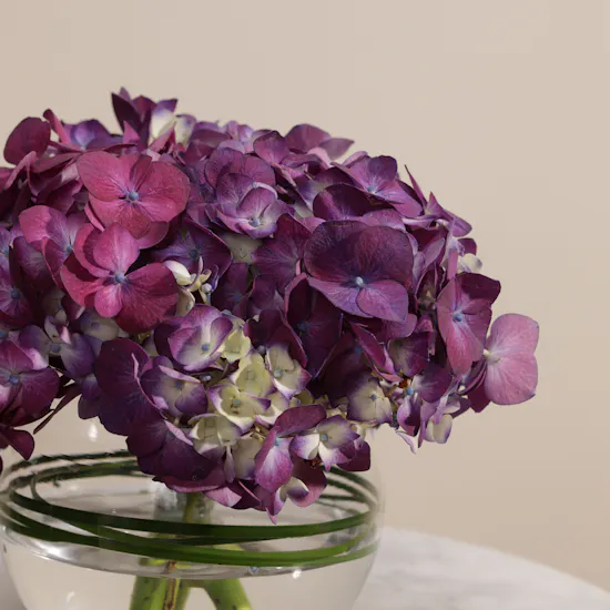 Warm Purple Hydrangea Vase