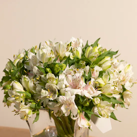 Cherished Alstroemeria Vase
