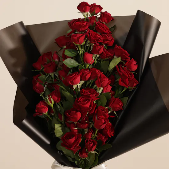 Midnight Passion Baby Rose Bouquet | 15 Flowers