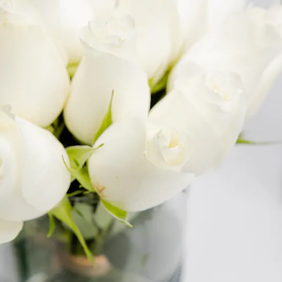 White & Red Roses Vases