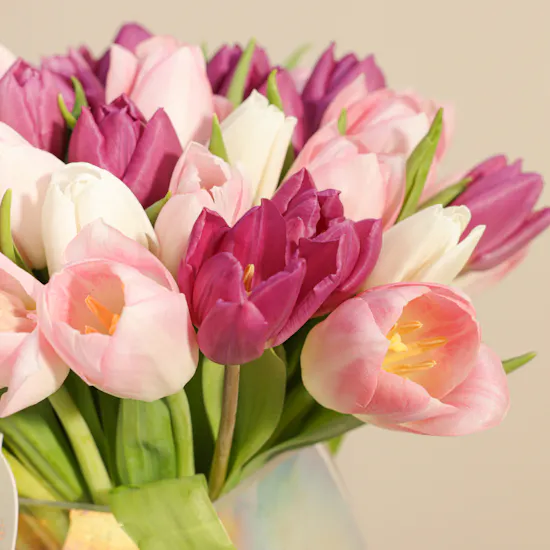 Sweet Spring Tulip Vase