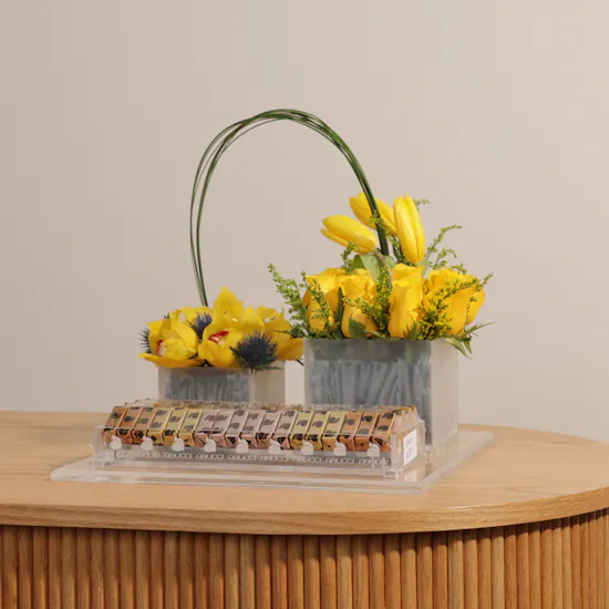 Abucci Chocolate | Yellow Blooms