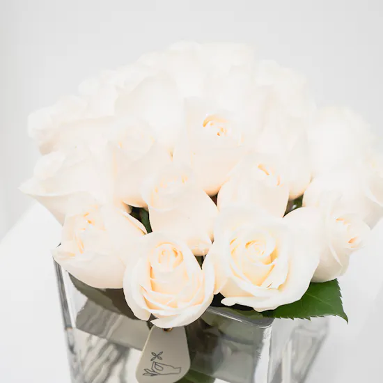 Feel Good Tea Original Discovery Box | White Roses Vase