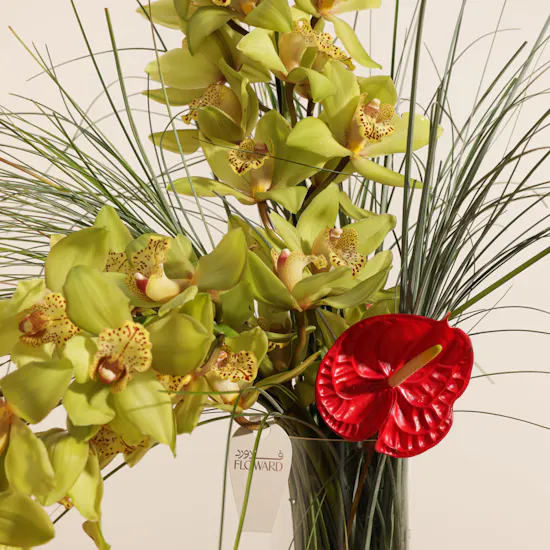Vibrant Beauty Vase