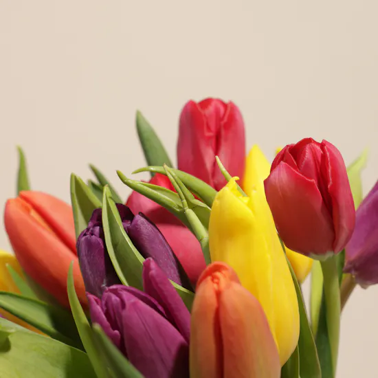 Elegant Tulip Vase