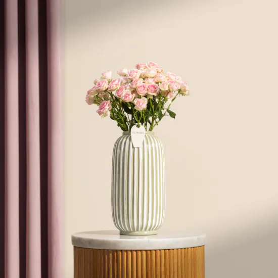 Nno Pink Baby Rose Fruta Vase