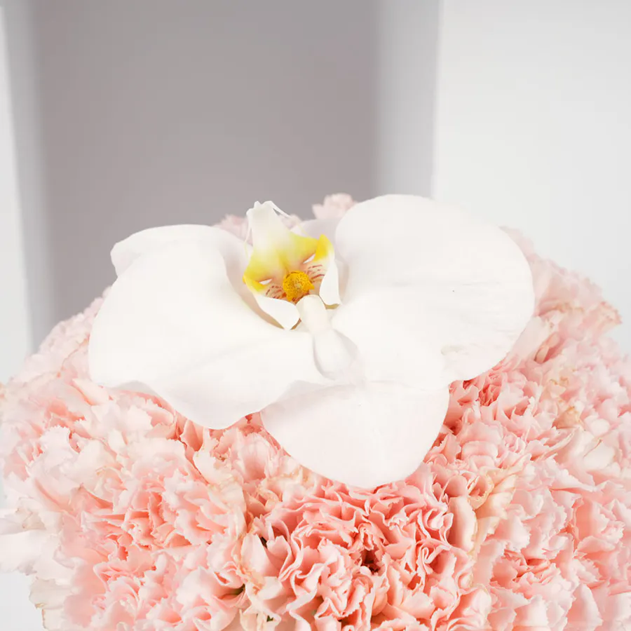 Joolz Baby Diamond Earrings | Carnations  5