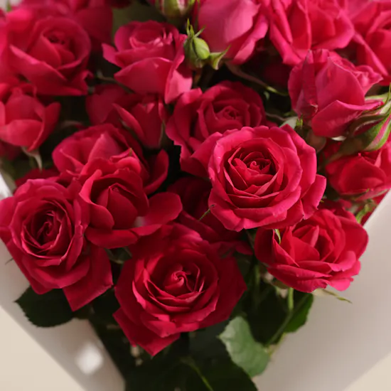 Sweetheart Roses Bouqute