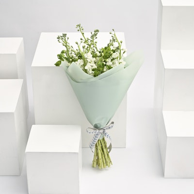 White Matthiola | Green Wrapping