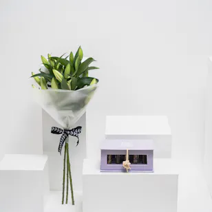 Feel Good Tea Lavender Discovery Box | 3 White Liliums Bouquet Feel Good Tea Lavender Discovery Box | 3 White Liliums Bouquet