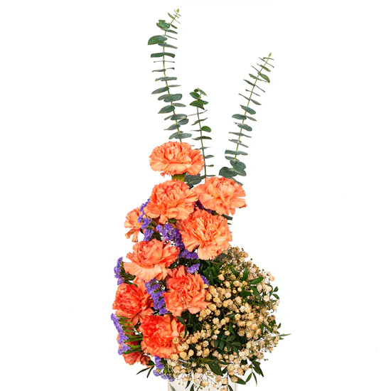 Linne Omani Chocolates | Orange Carnation