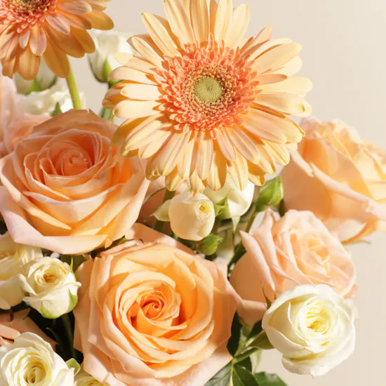 Luminous Charm Flowers Box