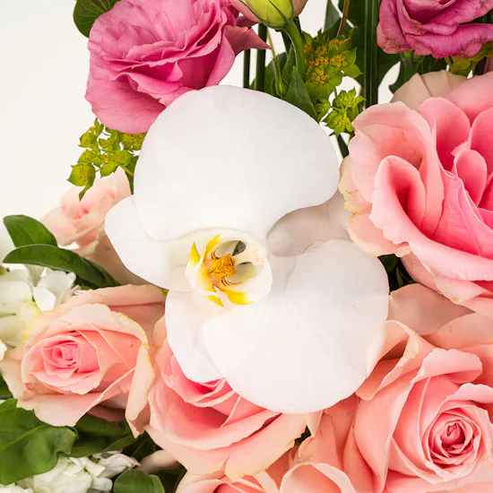Linne Royal Chocolate Bouquet | Pink Elegance Flowers