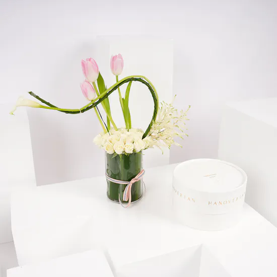Hanoverian Mix Brand Box | Soft Elegance