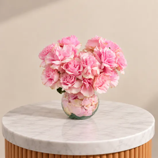 Pink Serenade