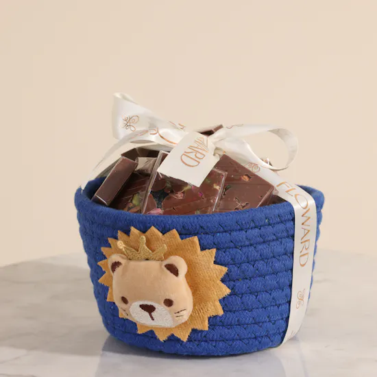 Floward Cute Chocolate Hamper | 20 Pieces