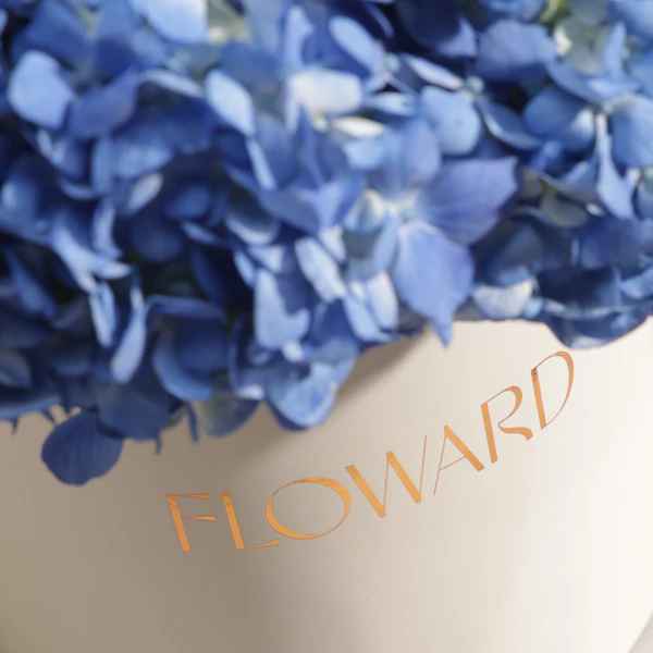 Blue Melody Hydrangea Box | 8 Flowers