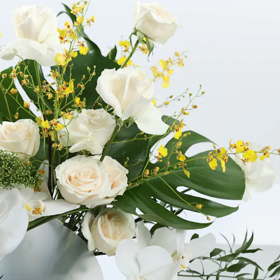 Dar AlSabaek Orchid Elegance, Gold Brilliance Display