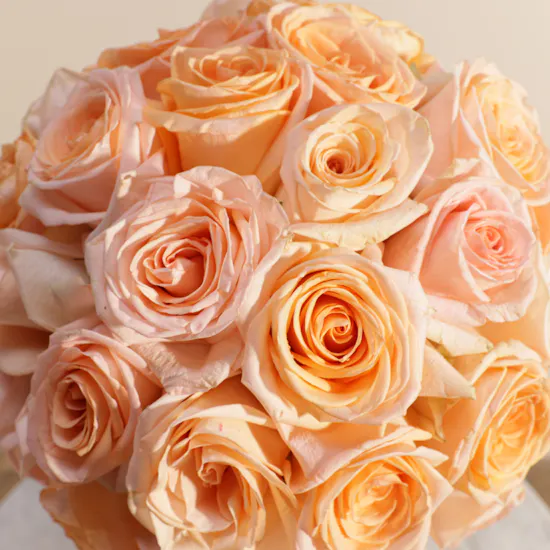 Marvelous Peach Roses Vase