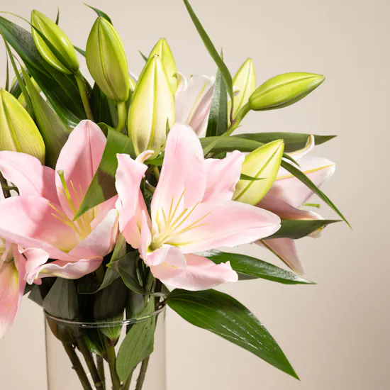 Pinky | 7 Lilies Vase