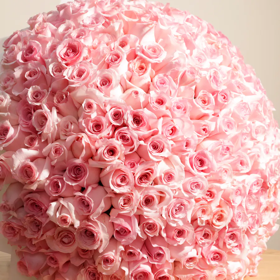 Pink Rose Bouquet | 250 Flowers 3