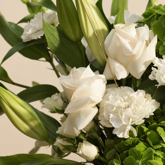 Auto Art Car Economic Protection Package Gift Voucher | Blushing Flowers Vase