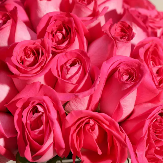 Fuchsia Brilliance Vase | 50 Flowers