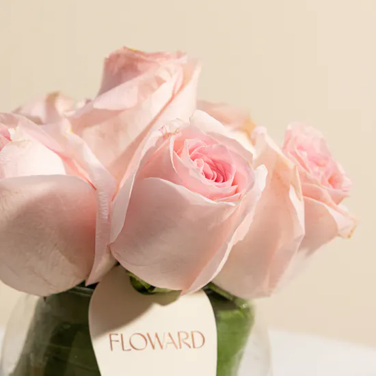 The Light Pink Rose Vase