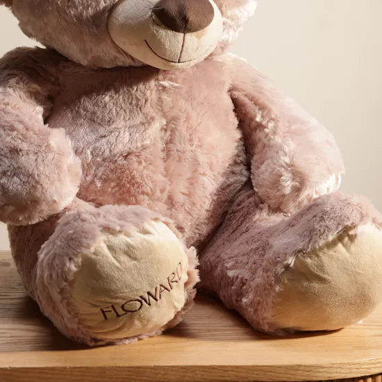 Floward Cute Brown Bear Plush Toy