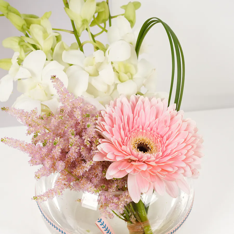 Bostani Signature Small Box | Flowers Vase  2