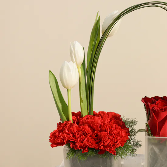 Abucci Chocolate Tray | Red Flowers Vase